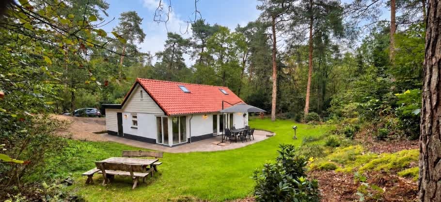 Ruim gazon met picknicktafel, terras en bos rondom De Orchidee